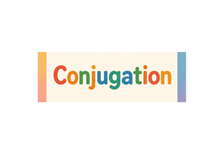 Learn Conjugation